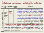 Šalutinių sakinių rūšys. Skaidrės 13 puslapis