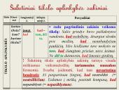 Šalutinių sakinių rūšys. Skaidrės 14 puslapis