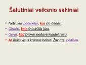 Šalutinių sakinių rūšys. Skaidrės 3 puslapis