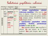 Šalutinių sakinių rūšys. Skaidrės 4 puslapis