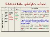 Šalutinių sakinių rūšys. Skaidrės 8 puslapis