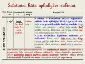 Šalutinių sakinių rūšys. Skaidrės 9 puslapis