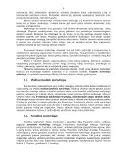 Tarptautinio marketingo tipai, jų lyginamoji analizė 5 puslapis