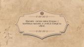 Motinos paveikslas Šatrijos raganos apysakoje ,,Sename dvare“   10 puslapis