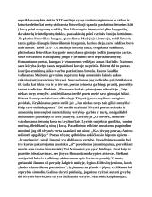 Laisvės samprata literatūroje (kalbėjimas) 3 puslapis