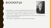 Matas Šalčius. Skaidrės 2 puslapis