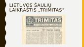 Matas Šalčius. Skaidrės 4 puslapis
