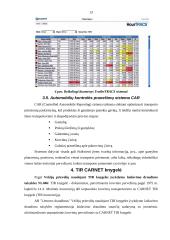 Tarptautinių logistikos paslaugų informacinis aprūpinimas 13 puslapis