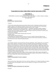 Tarptautinių logistikos paslaugų informacinis aprūpinimas 17 puslapis