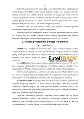 Tarptautinių logistikos paslaugų informacinis aprūpinimas 9 puslapis