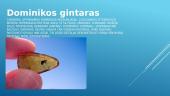 Gintaro rūšys 2 puslapis