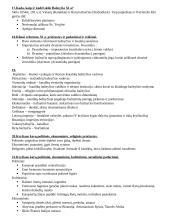 Europos Viduramžių istorijos kartojimas 3 puslapis