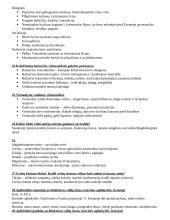 Europos Viduramžių istorijos kartojimas 4 puslapis