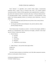 Teisės funkcijos 3 puslapis