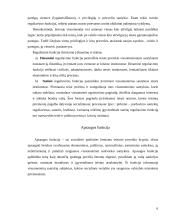 Teisės funkcijos 6 puslapis