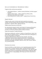 Trigerinių taškų masažas 2 puslapis