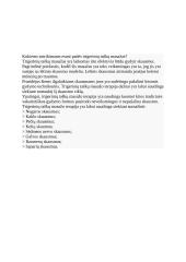 Trigerinių taškų masažas 3 puslapis