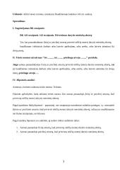 Teisės normų ir aktų analizė 3 puslapis