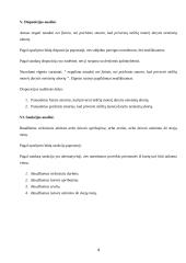 Teisės normų ir aktų analizė 4 puslapis