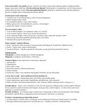 Evoliucinė psichologija - konspektas 11 puslapis