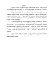 Teisės pažeidimas 3 puslapis