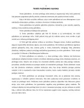 Teisės pažeidimas 4 puslapis