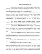 Teisės pažeidimas 5 puslapis