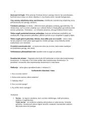 Lietuvos teisinės sistemos konspektas 2 puslapis