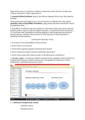 Lietuvos teisinės sistemos konspektas 4 puslapis