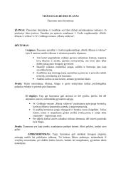 Žiaurumo tema literatūroje. Planas