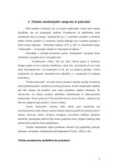 Teisinė atsakomybės samprata, požymiai ir rūšys 4 puslapis