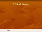 Bitlai skaidrės 10 puslapis