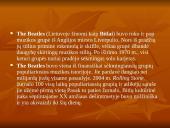 Bitlai skaidrės 2 puslapis