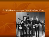 Bitlai skaidrės 5 puslapis