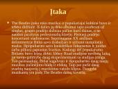 Bitlai skaidrės 7 puslapis