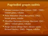 Bitlai skaidrės 8 puslapis