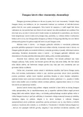 Pasaulėžiūra ir jos svarba ekonomikoje 11 puslapis