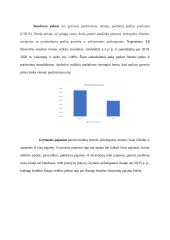 AB „Panevėžio statybos trestas“ finansinė ataskaita 10 puslapis