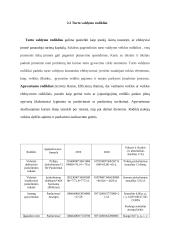 AB „Panevėžio statybos trestas“ finansinė ataskaita 13 puslapis