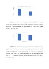 AB „Panevėžio statybos trestas“ finansinė ataskaita 15 puslapis