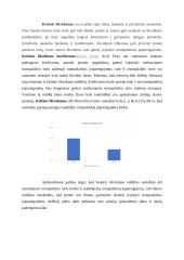 AB „Panevėžio statybos trestas“ finansinė ataskaita 19 puslapis