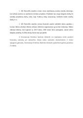 AB „Panevėžio statybos trestas“ finansinė ataskaita 2 puslapis