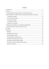 AB „Panevėžio statybos trestas“ finansinė ataskaita 3 puslapis