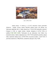 AB „Panevėžio statybos trestas“ finansinė ataskaita 7 puslapis