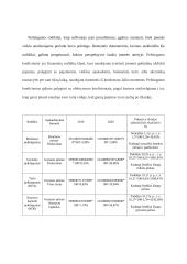 AB „Panevėžio statybos trestas“ finansinė ataskaita 9 puslapis