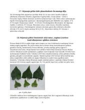 Sėjamojo grikio vaistinės augalinės žaliavos analizė ir apžvalga 10 puslapis