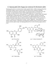Sėjamojo grikio vaistinės augalinės žaliavos analizė ir apžvalga 6 puslapis