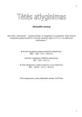 Tėvų pajamos 2 puslapis