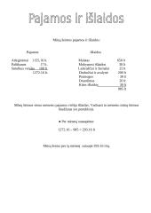 Tėvų pajamos 5 puslapis