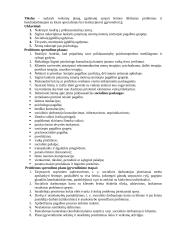 Krizinės šeimos situacijos analizė 2 puslapis